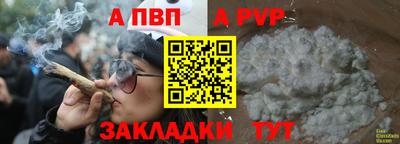 a pvp Дубна