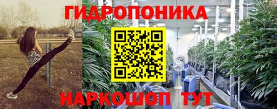 ГАЛЛЮЦИНОГЕННЫЕ ГРИБЫ Донской